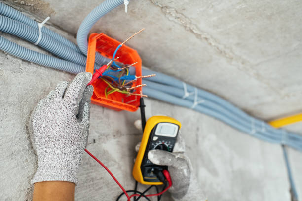 Best Licensed Electrician  in Fulda, MN